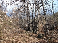 anobello-04032012 102